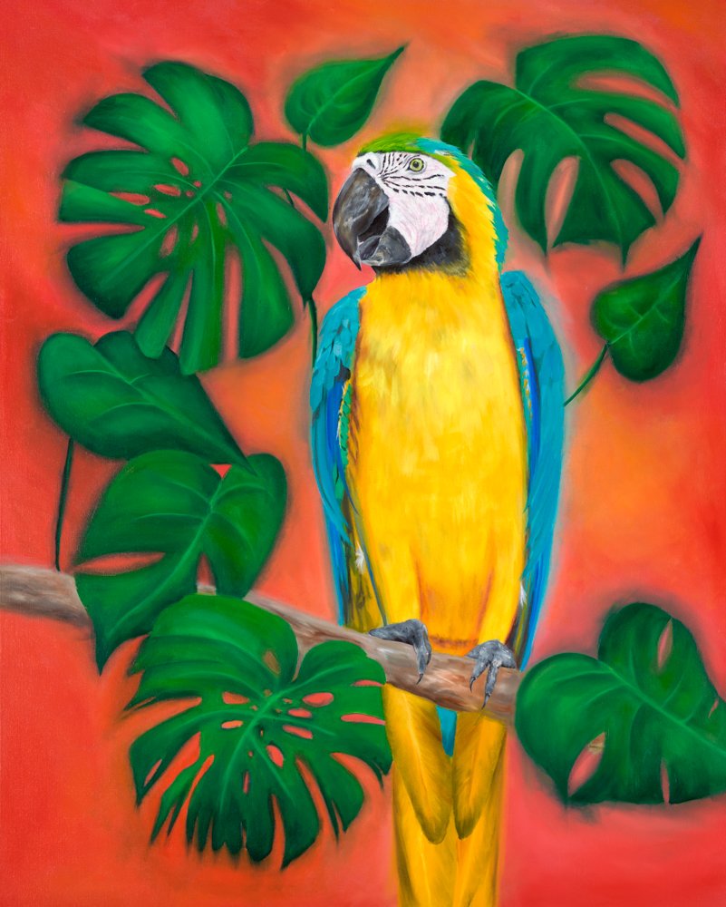 Blue and gold macaw