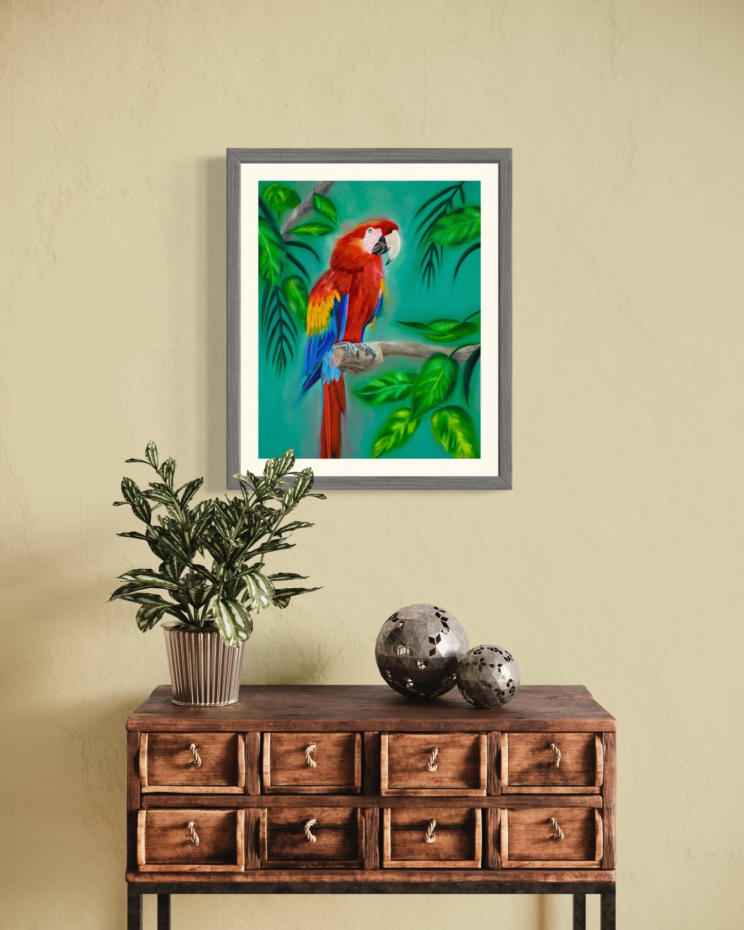 Scarlett Macaw