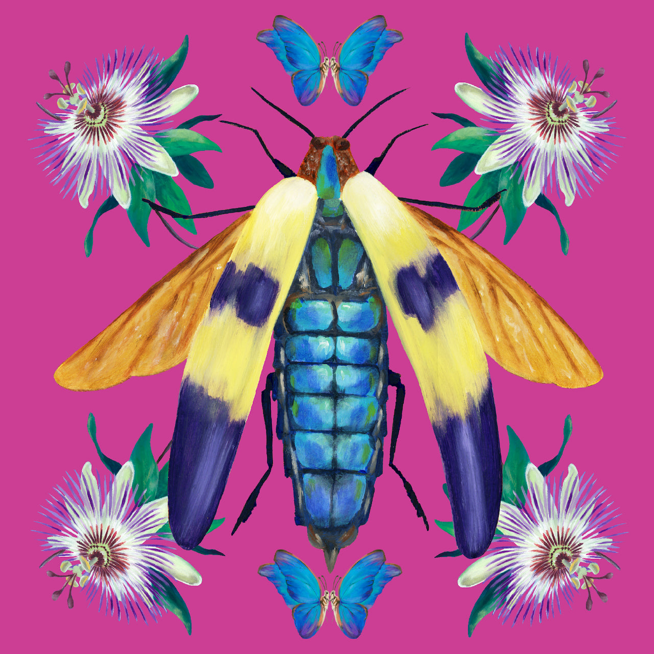 Jewel Beetle