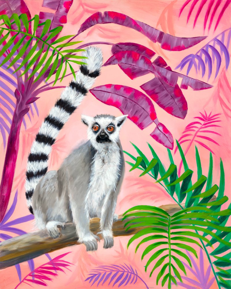 Ring Tailed Lemur