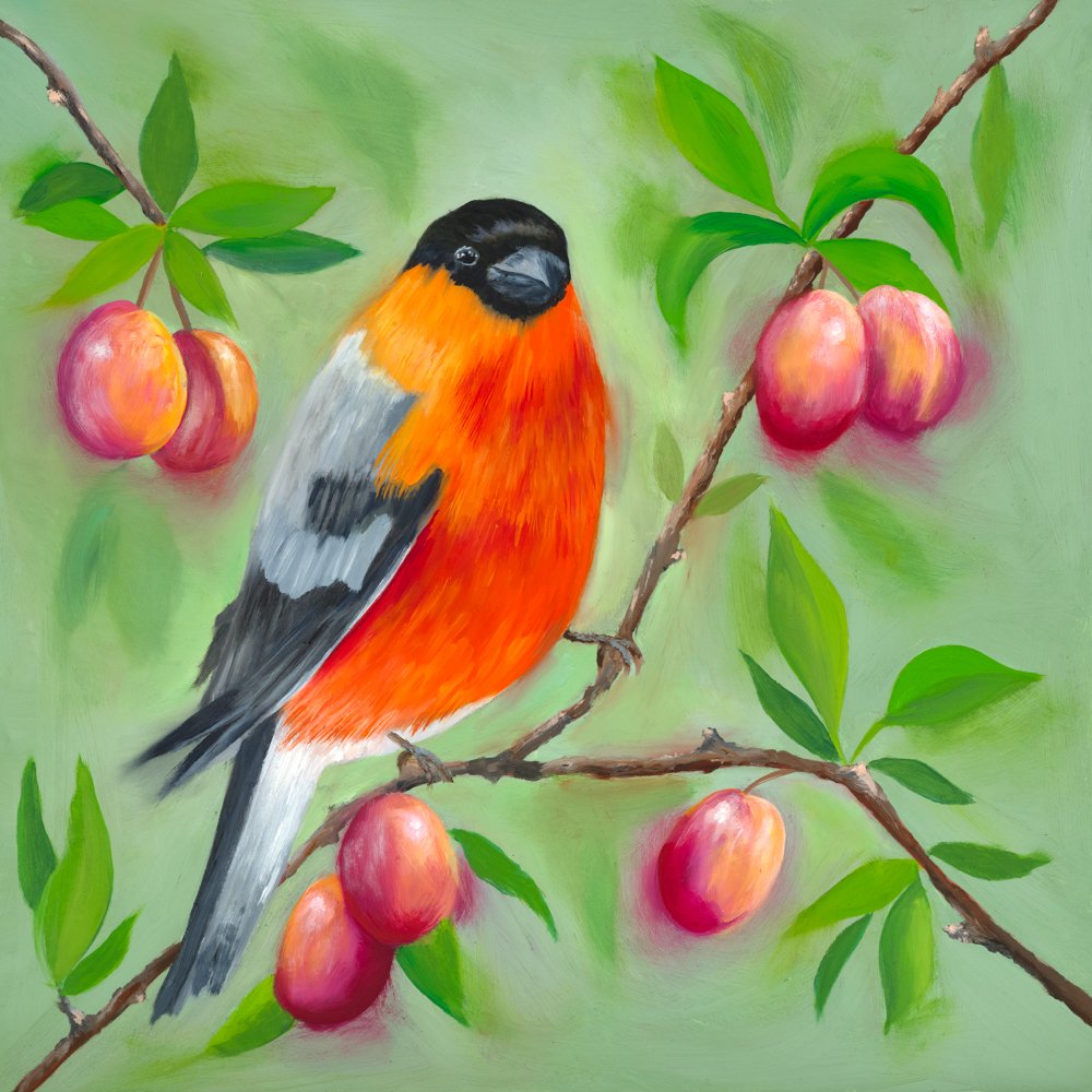 Bullfinch with Plums