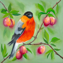 BULLFINCH WITH PLUMS