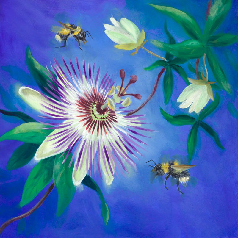 PASSION FLOWER WITH BEES