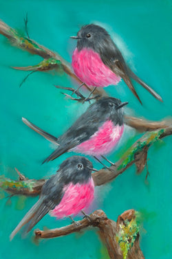 PINK BREASTED ROBINS
