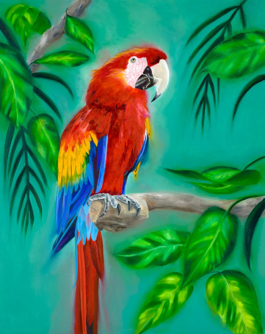 Scarlett Macaw