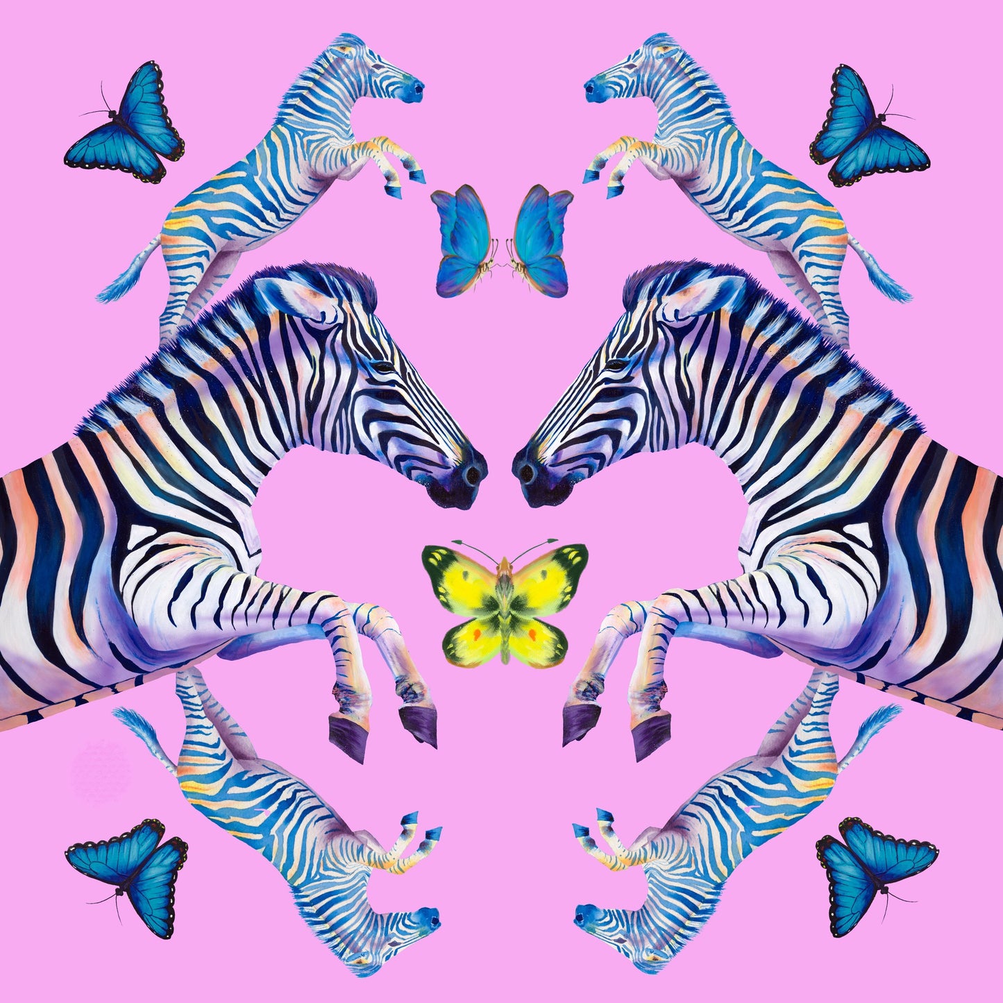 Zebras